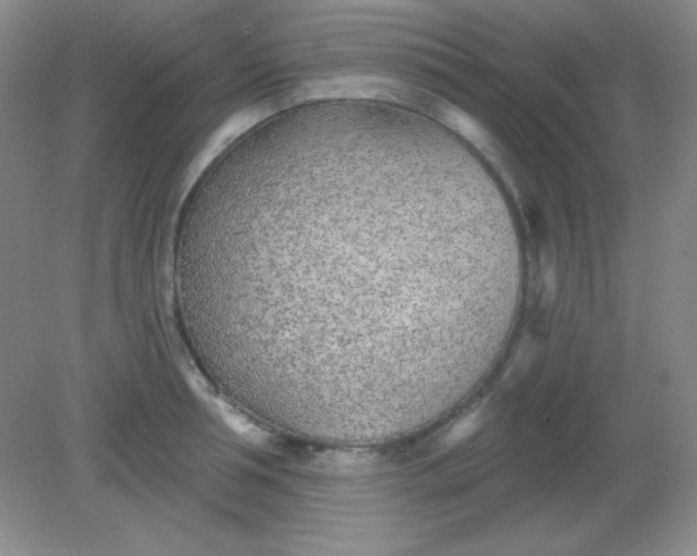 X0000082160994200702021656