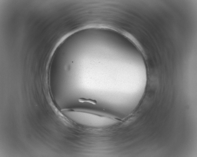 X0000082161004200702021656