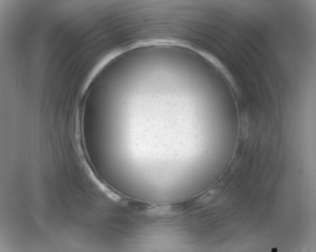 X0000082161006200702021656