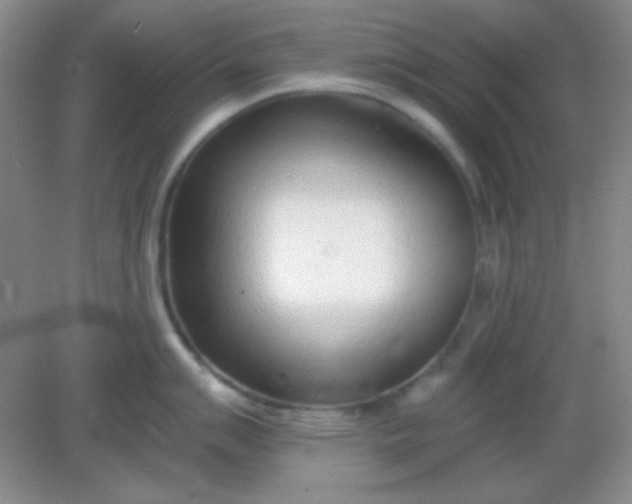 X0000082161007200702021656