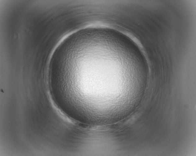 X0000082161008200702021656