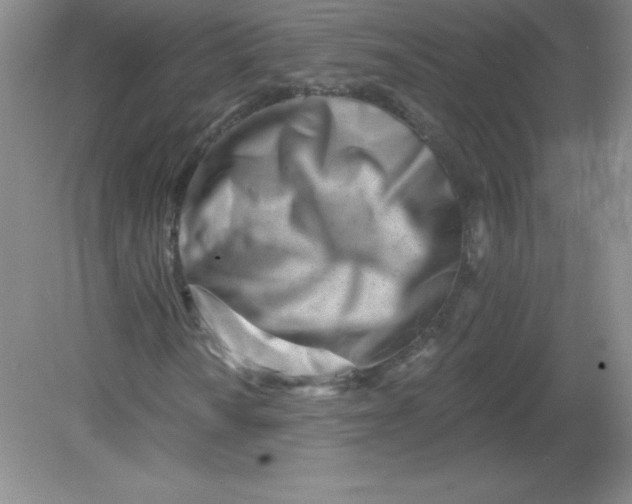X0000082161010200702021655