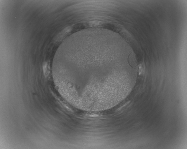 X0000082161011200702021655