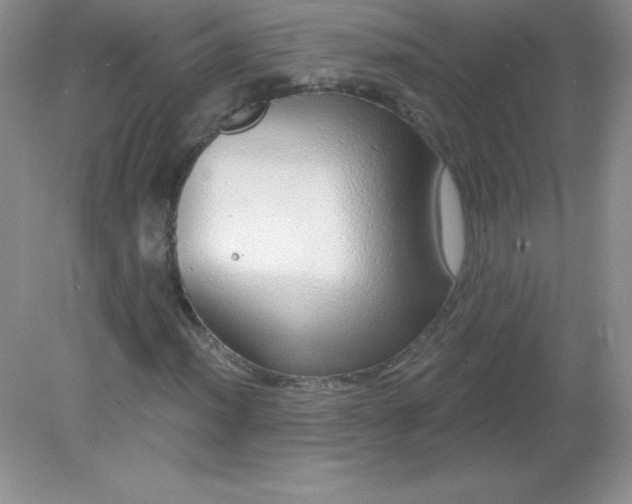 X0000082161012200702021655