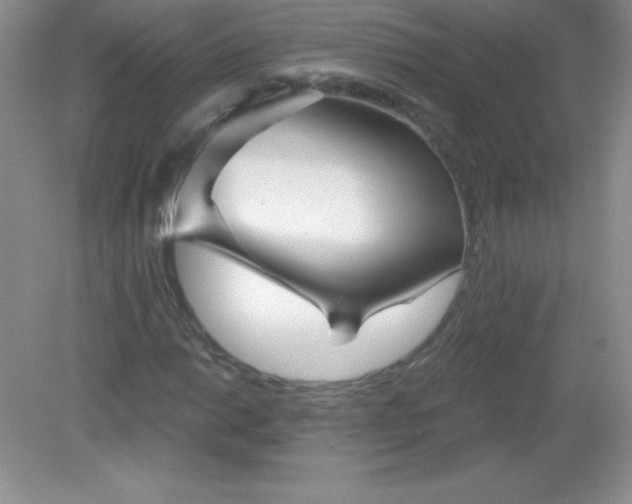 X0000082161014200702021655