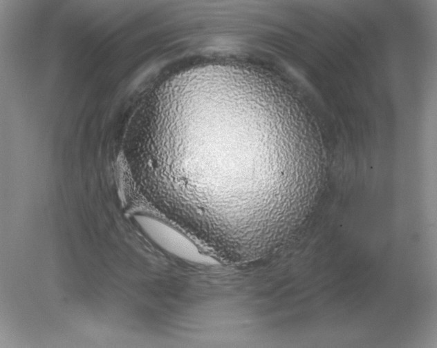 X0000082161015200702021655