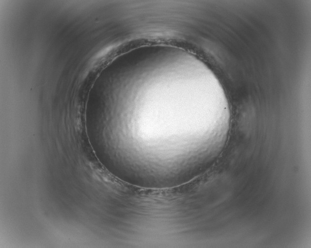 X0000082161016200702021655