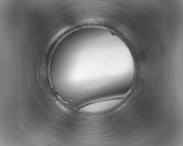 X0000082161018200702021655