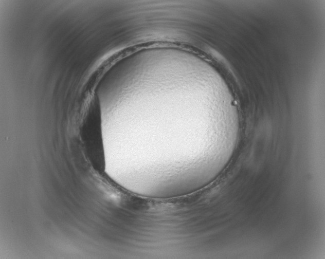 X0000082161019200702021655