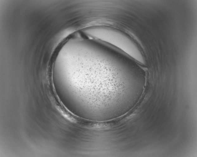 X0000082161026200702021655