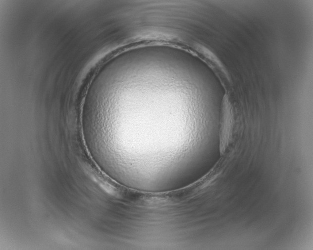 X0000082161027200702021655
