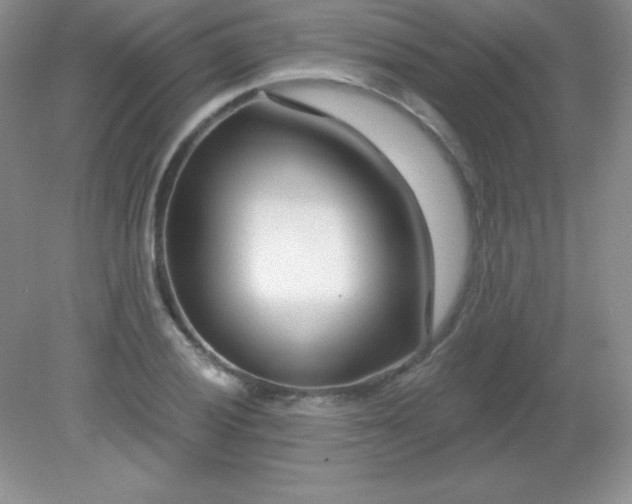 X0000082161028200702021655