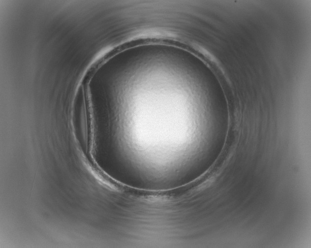 X0000082161029200702021655