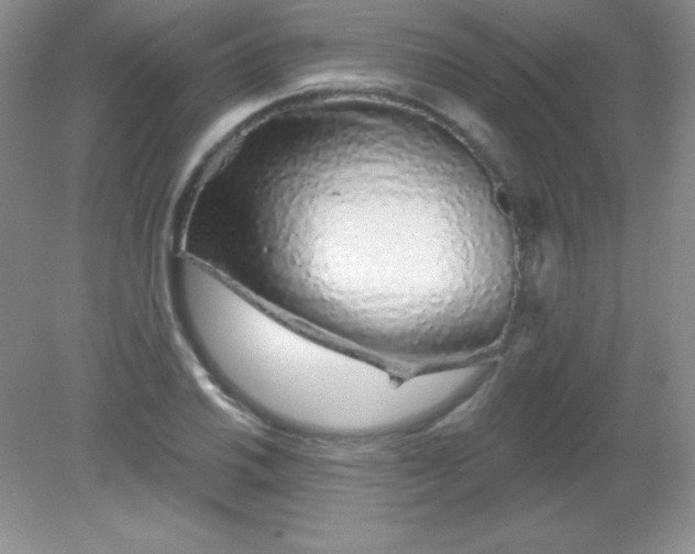 X0000082161030200702021655