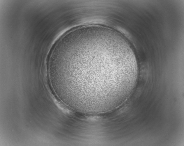 X0000082161031200702021655