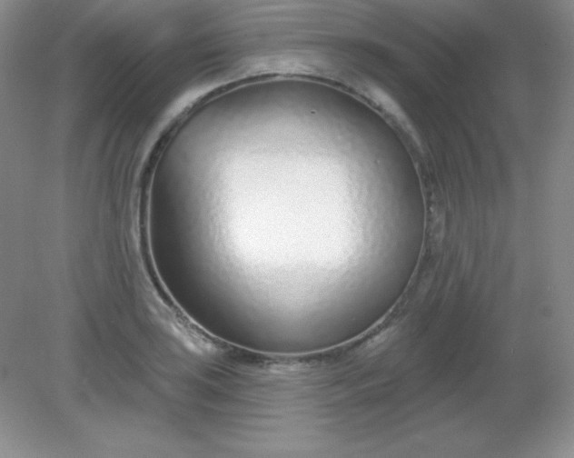 X0000082161035200702021655