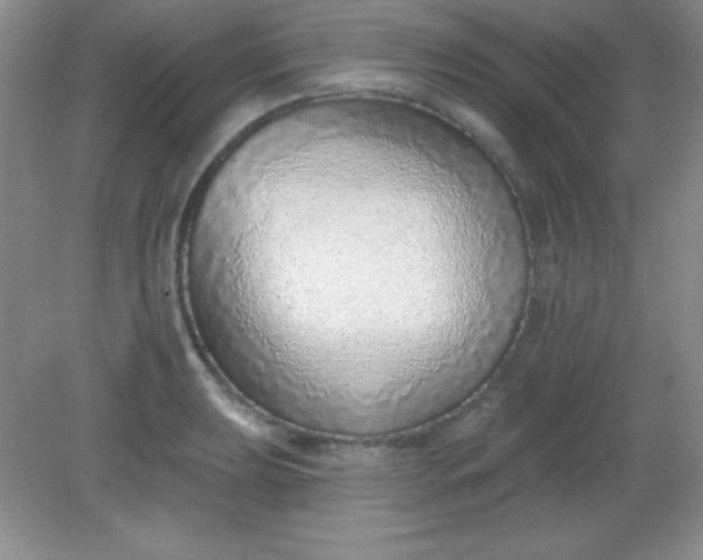X0000082161039200702021655