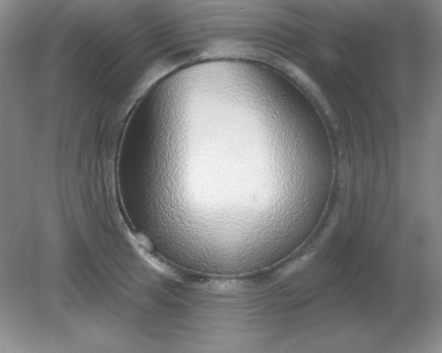 X0000082161041200702021655
