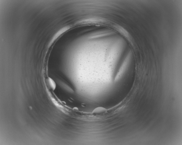 X0000082161042200702021656