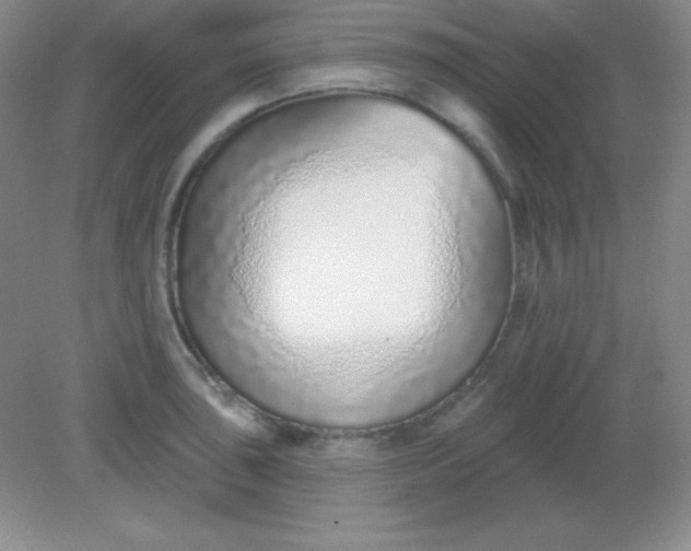 X0000082161043200702021656