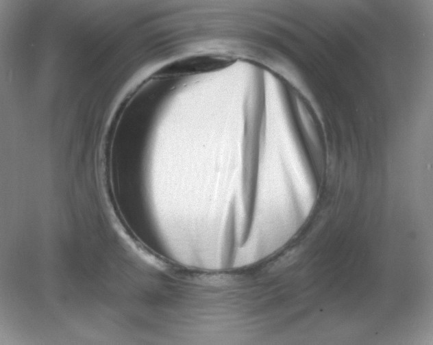 X0000082161045200702021656