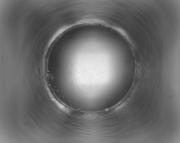 X0000082161046200702021656