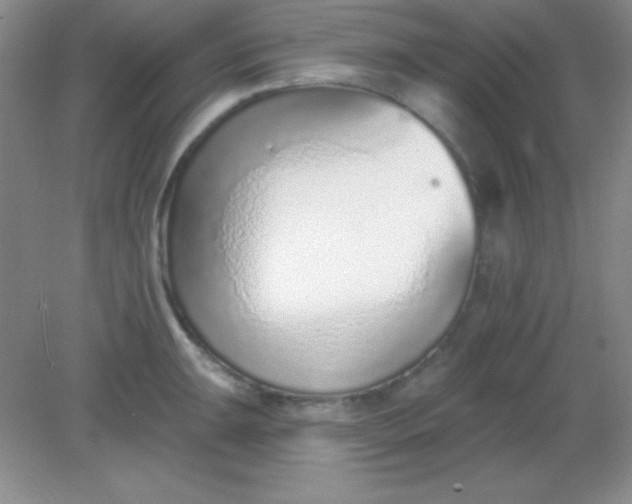 X0000082161047200702021656