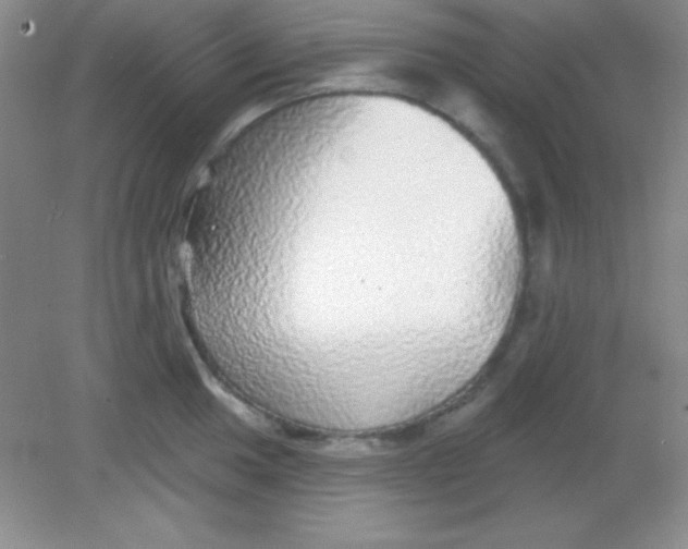 X0000082161049200702021656