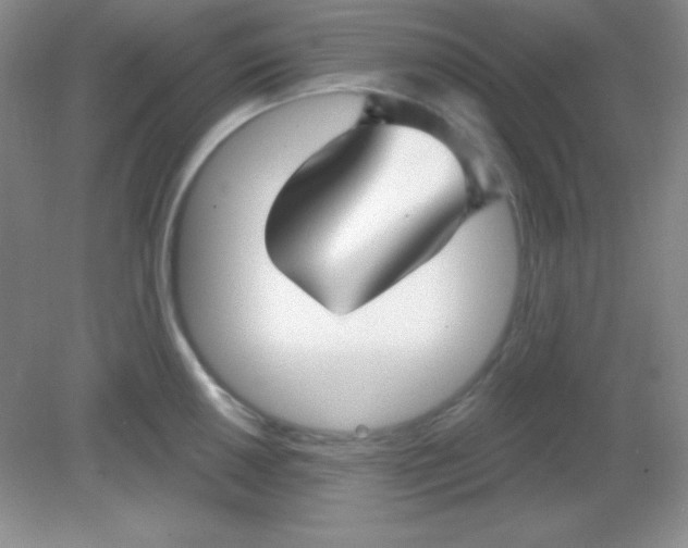 X0000082161050200702021656