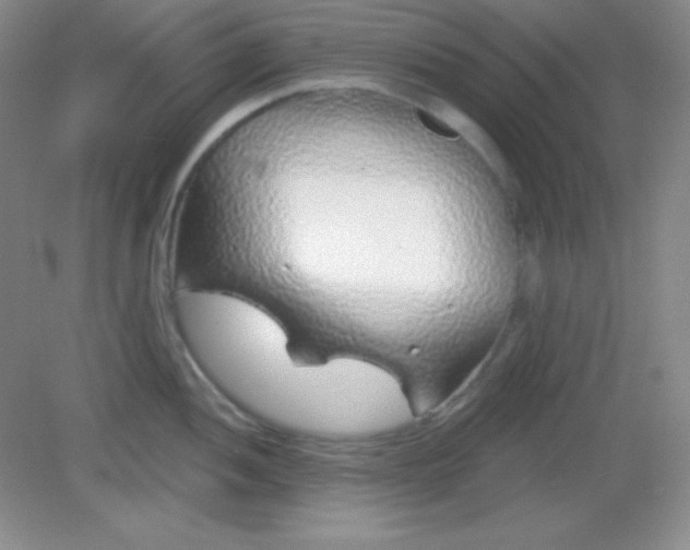X0000082161052200702021656