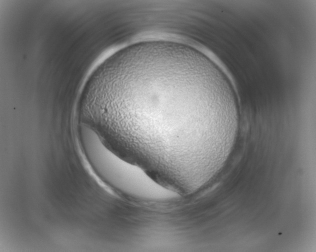 X0000082161053200702021656