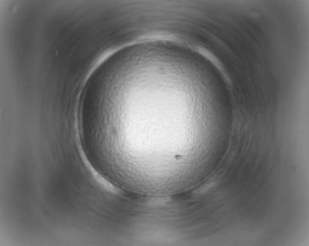 X0000082161055200702021656