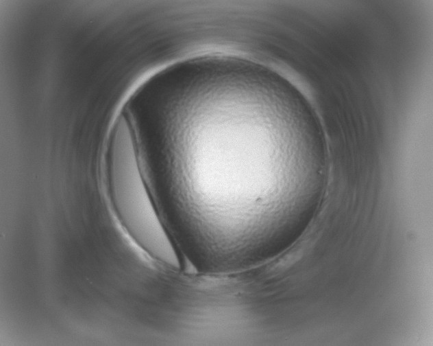 X0000082161056200702021656