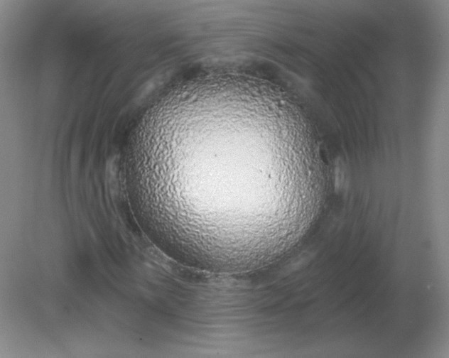 X0000082161059200702021655