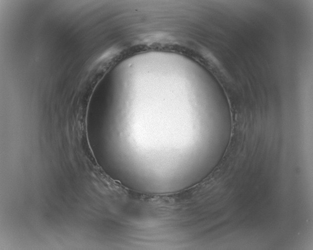 X0000082161063200702021655