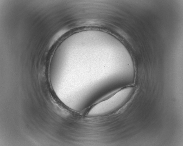 X0000082161066200702021655