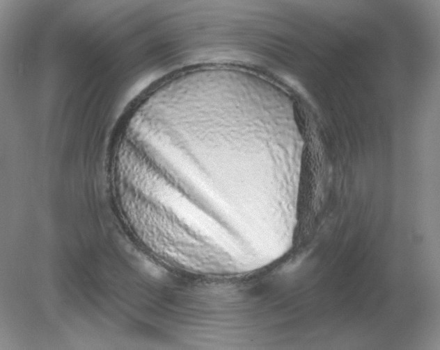 X0000082161071200702021655