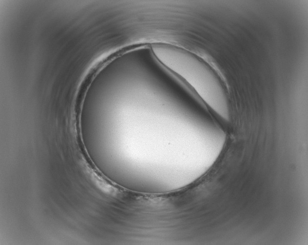 X0000082161072200702021655