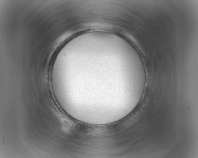 X0000082161074200702021655