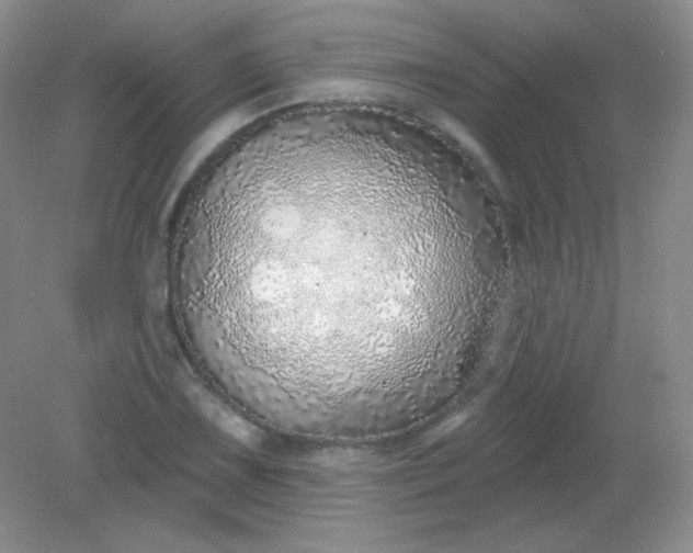 X0000082161075200702021655
