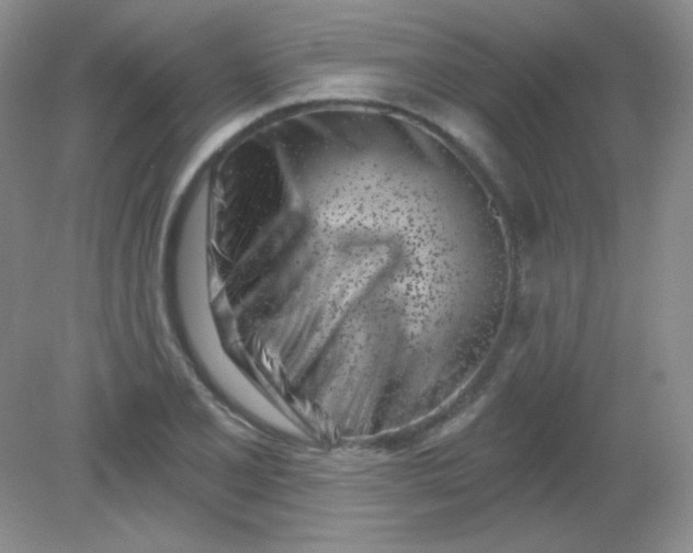 X0000082161077200702021655