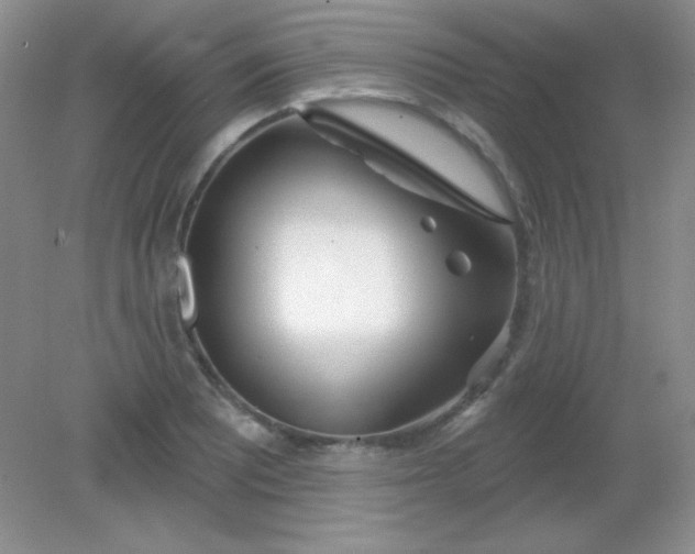X0000082161081200702021655