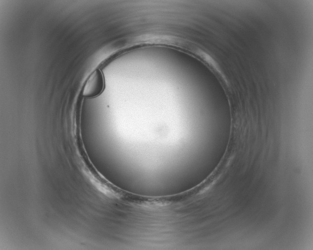 X0000082161082200702021655