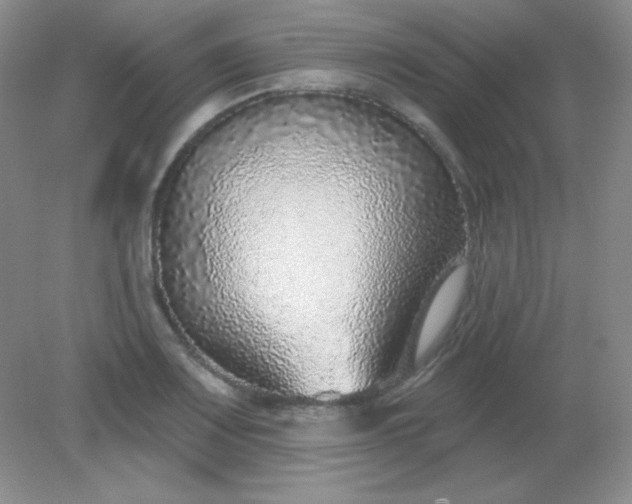X0000082161083200702021655