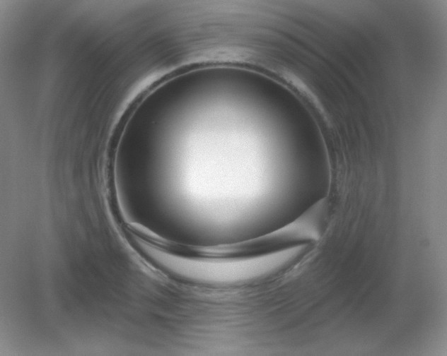 X0000082161085200702021654