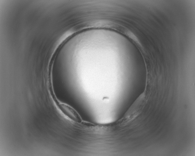 X0000082161087200702021654