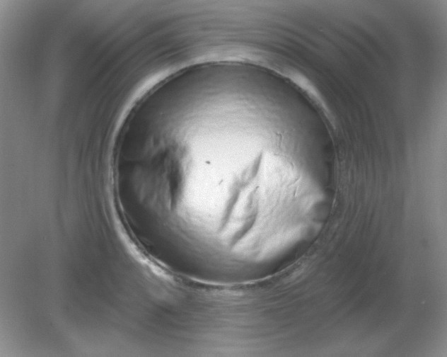 X0000082161088200702021654