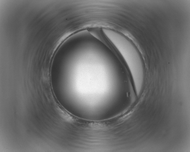 X0000082161089200702021654