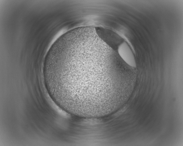 X0000082161091200702021654
