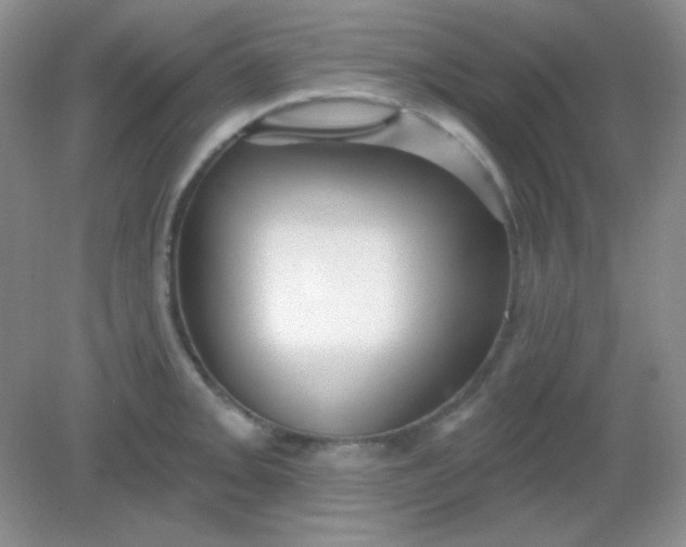 X0000082161093200702021654